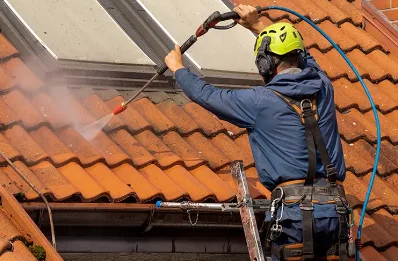Démoussage et hydrofuge de toiture à Cramans